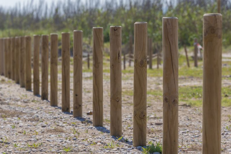 Timber Post Repair